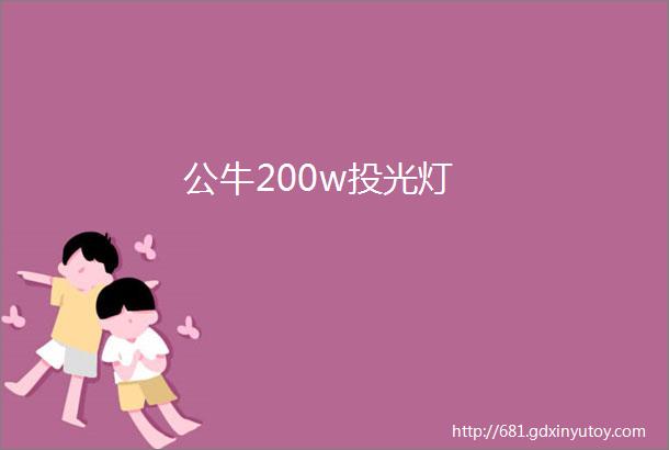 公牛200w投光灯