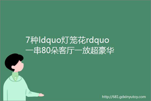 7种ldquo灯笼花rdquo一串80朵客厅一放超豪华