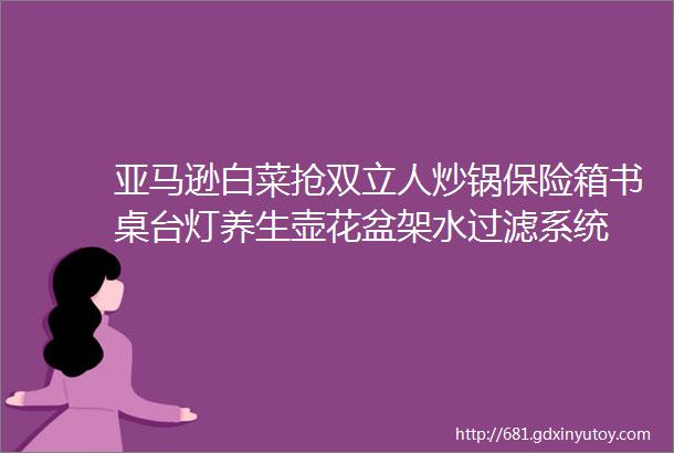 亚马逊白菜抢双立人炒锅保险箱书桌台灯养生壶花盆架水过滤系统