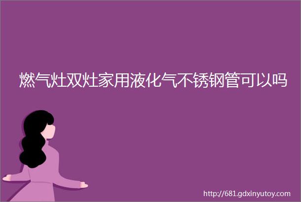 燃气灶双灶家用液化气不锈钢管可以吗