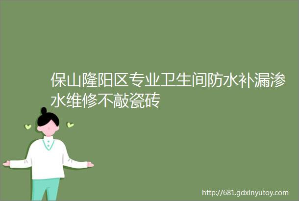 保山隆阳区专业卫生间防水补漏渗水维修不敲瓷砖