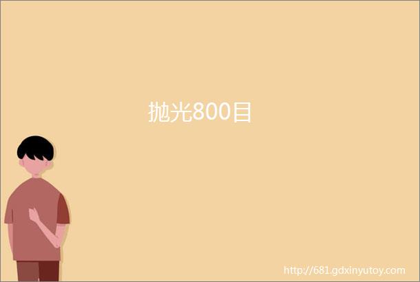 抛光800目