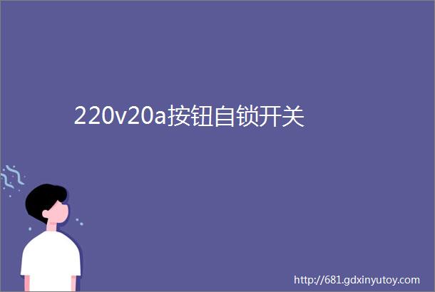 220v20a按钮自锁开关