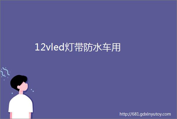 12vled灯带防水车用