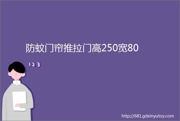 防蚊门帘推拉门高250宽80