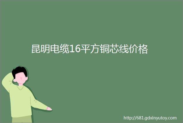 昆明电缆16平方铜芯线价格