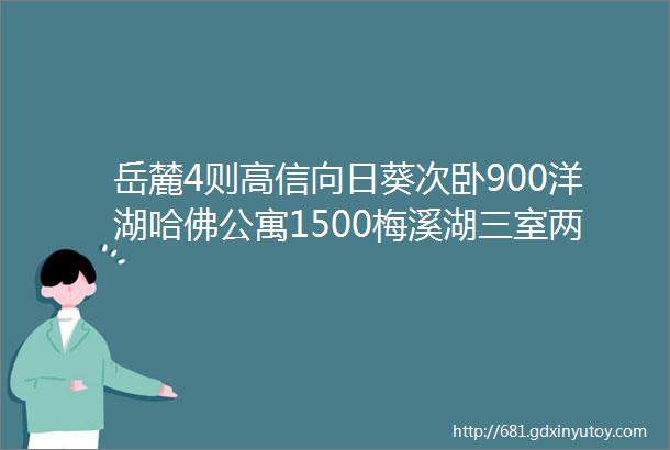 岳麓4则高信向日葵次卧900洋湖哈佛公寓1500梅溪湖三室两厅2800西湖公园一室一厅800